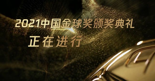 影片聚焦福建省残疾人艺术团“看到”歌唱组合，用真实镜头记录下视障人士用音乐追光的故事